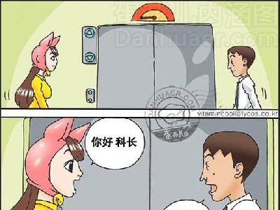 这个纯粹是员工福利呀,我爱你董事长_电梯